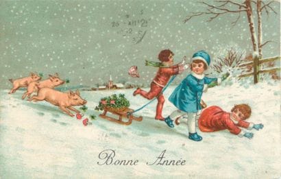 23 CARTES POSTALES LES COCHONS : Divers....
