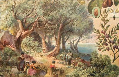 157 CARTES POSTALES FANTAISIES : Divers Thèmes...