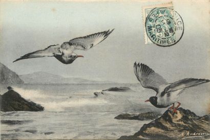 157 CARTES POSTALES FANTAISIES : Divers Thèmes...