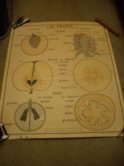 5 CARTES GEOGRAPHIQUES & INSTRUCTIVES : d'Ecole....