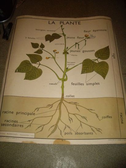 5 CARTES GEOGRAPHIQUES & INSTRUCTIVES : d'Ecole....