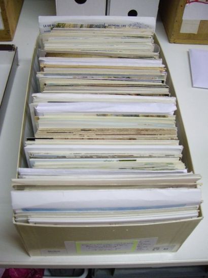 849 CARTES POSTALES MILITARIA : Cartes Modernes...