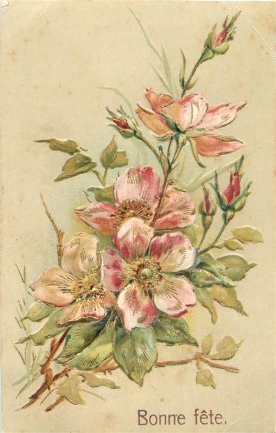 46 CARTES POSTALES FANTAISIES : Divers Thèmes...
