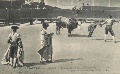 42 CARTES POSTALES TAUROMACHIE : Majorité...