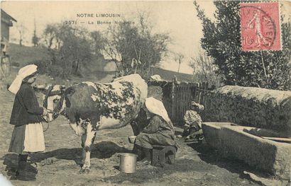 38 CARTES POSTALES FOLKLORE : Limousin. Dont