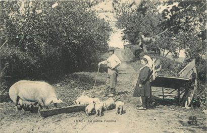 38 CARTES POSTALES FOLKLORE : Limousin. Dont