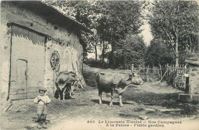 38 CARTES POSTALES FOLKLORE : Limousin. Dont