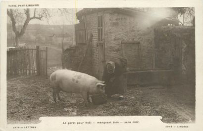 38 CARTES POSTALES FOLKLORE : Limousin. Dont