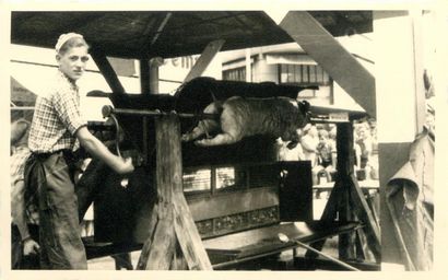 96 CARTES PHOTOS & PHOTOS : Diverses. A Situer...