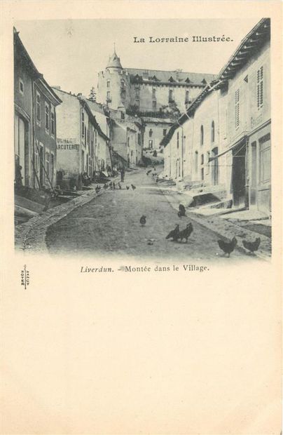 43 CARTES POSTALES MEURTHE & MOSELLE : Villes,...