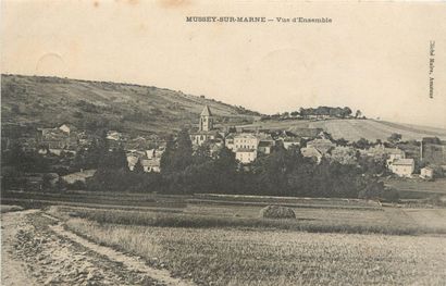 43 CARTES POSTALES MEURTHE & MOSELLE : Villes,...