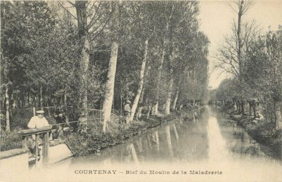 64 CARTES POSTALES LOIRET : Villes, qqs villages,...