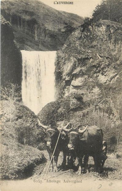 122 CARTES POSTALES AUVERGNE : Dépts 03-2cp,...