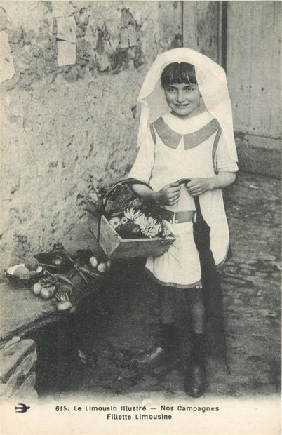 112 CARTES POSTALES FOLKLORE : Limousin....