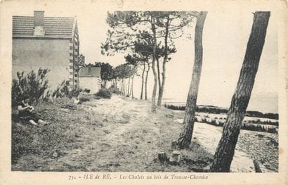96 CARTES POSTALES POITOU CHARENTE : Dépts...