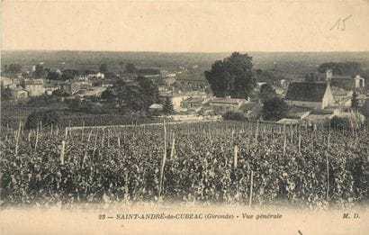 195 CARTES POSTALES AQUITAINE : Dépts 24-13cp,...