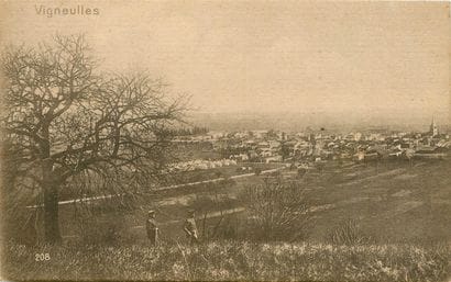 331 CARTES POSTALES LORRAINE : Dépts 54-81cp,...
