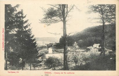 331 CARTES POSTALES LORRAINE : Dépts 54-81cp,...