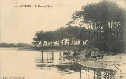 542 CARTES POSTALES PROVINCE : Divers Départements....