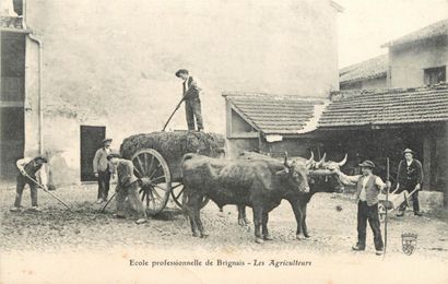 26 CARTES POSTALES ENSEIGNEMENT : Ecole Professionnelle...
