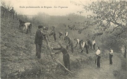 26 CARTES POSTALES ENSEIGNEMENT : Ecole Professionnelle...