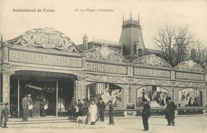 20 CARTES POSTALES SPECTACLES & FETES : Petite...
