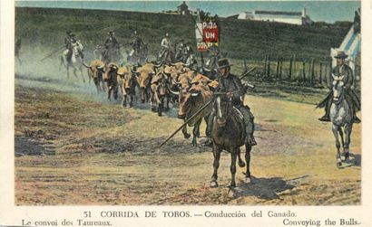 42 CARTES POSTALES FETES, SPORTS & TAUROMACHIE...
