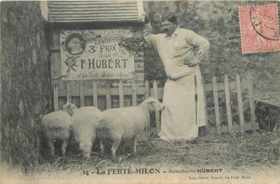 1 CARTE POSTALE METIER : Sélection Aisne...
