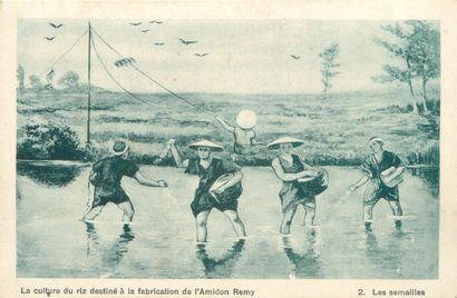 33 CARTES POSTALES PUBLICITAIRES : Divers...