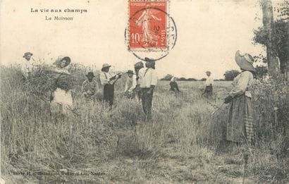 18 CARTES POSTALES METIERS : Divers - Petite...