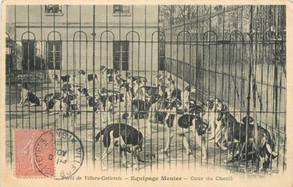 53 CARTES POSTALES CHASSE A COURRE : 49cp-Villers...