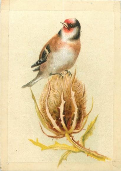 46 CARTES POSTALES & IMAGES FANTAISIES :...