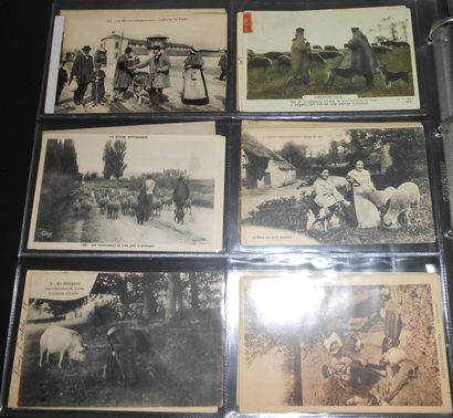 231 CARTES POSTALES VIE & TRAVAIL RURAL :...
