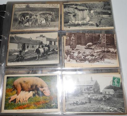231 CARTES POSTALES VIE & TRAVAIL RURAL :...