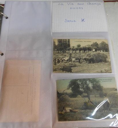 161 CARTES POSTALES LA VIE AUX CHAMPS : Editeur...