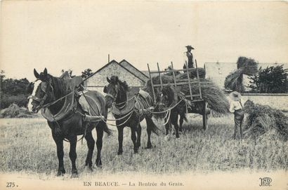 34 CARTES POSTALES EN BEAUCE : Série. Dont