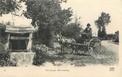 28 CARTES POSTALES ATTELAGES : Chien (belge)-1cp,...