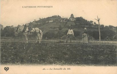 28 CARTES POSTALES ATTELAGES : Chien (belge)-1cp,...