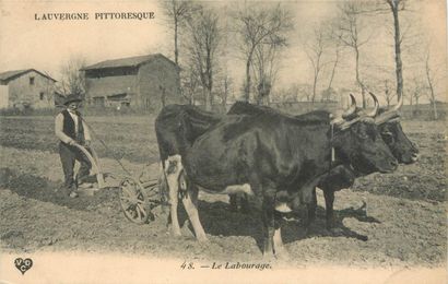 28 CARTES POSTALES ATTELAGES : Chien (belge)-1cp,...