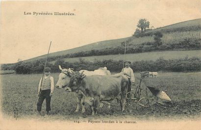 28 CARTES POSTALES ATTELAGES : Chien (belge)-1cp,...