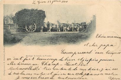28 CARTES POSTALES ATTELAGES : Chien (belge)-1cp,...