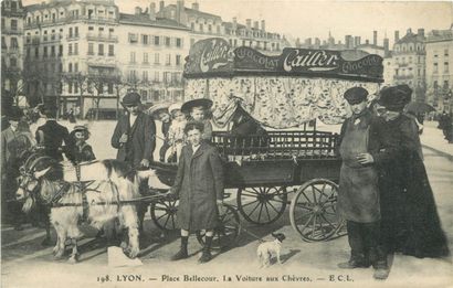 59 CARTES POSTALES LES CHEVRES : Attelages...