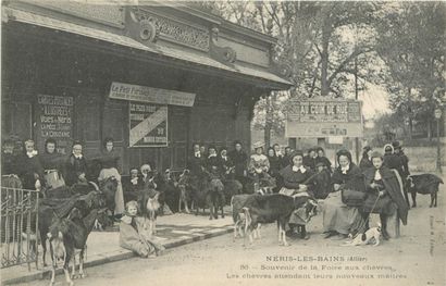 59 CARTES POSTALES LES CHEVRES : Attelages...