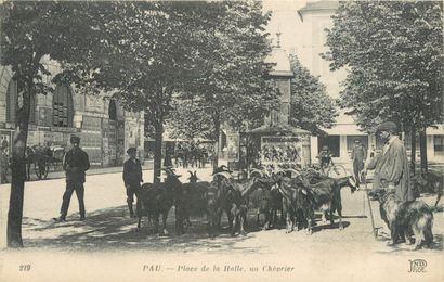 59 CARTES POSTALES LES CHEVRES : Attelages...