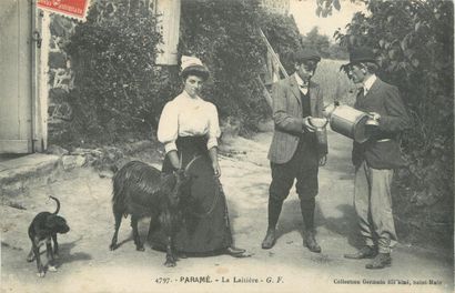 59 CARTES POSTALES LES CHEVRES : Attelages...