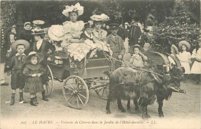 59 CARTES POSTALES LES CHEVRES : Attelages...