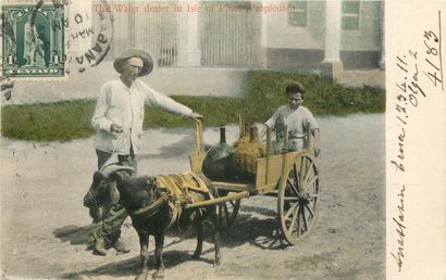 59 CARTES POSTALES LES CHEVRES : Attelages...