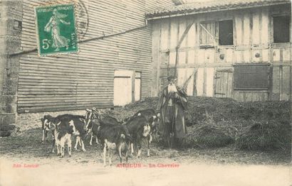 59 CARTES POSTALES LES CHEVRES : Attelages...