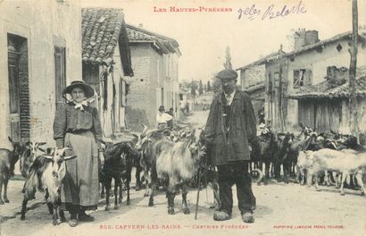 59 CARTES POSTALES LES CHEVRES : Attelages...