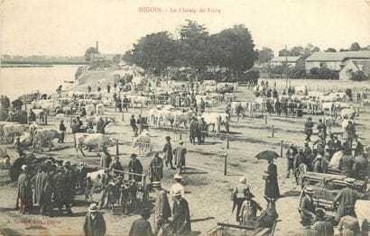 27 CARTES POSTALES LES MARCHES : Divers Départements...